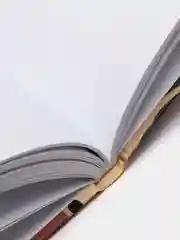 Скетчбук, белая бумага 120г/м 145х203мм, 80л, резинка, твердый, BRAUBERG ART DEBUT, Листья