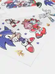 Багровый татуировка детская временная (переводная) Ежик Соник Sonic
