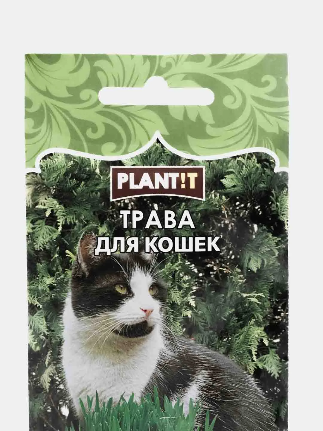 Семена ТРАВА ДЛЯ КОШЕК 10 грамм