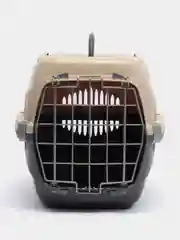 Бежевый переноска для кошек и мелких собак "Спутник", 44*29*27,5 см