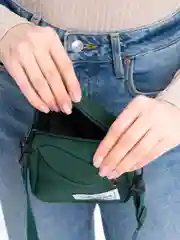 Зеленый женская сумка через плечо, мессенджер для телефона