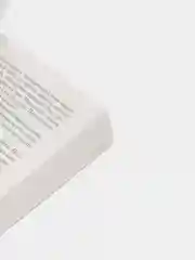 Мизери, Кинг С.