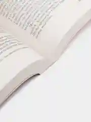 Мизери, Кинг С.