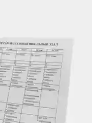 Вишнёвый медицинская карта ребёнка, А4, форма № 026, у-2000