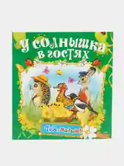 Книга У солнышка в гостях, детская сказка