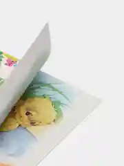 Книга Цыпленок. Детские стихи