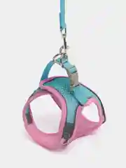 Манго шлейка для кошек и собак, со светоотражающими элементами