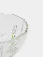 Салатник на ножке Eve white-green, 220 мм