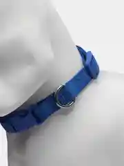 Синий ошейник нейлоновый для собак