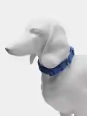 Синий ошейник нейлоновый для собак