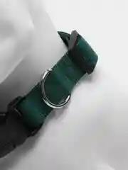 Зеленый ошейник нейлоновый для собак