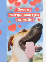 Лазурный обёртка/ обложка для шоколада "23 февраля/ 8 марта",  набор 5 штук