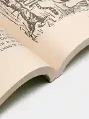 Книга "Занимательно о ботанике", Сергей Ивченко