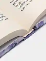 Книга "Dорого & Gлупо", Лана Капризная, современная проза