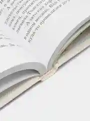 Книга Дневник наблюдений. Маленькие беседы с большим читателем. Эдуард Успенский