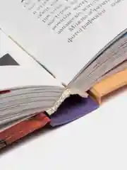 Книга Все о дизайне вашего дома. Энциклопедия с идеями и практическим руководством