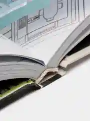 Книга Энциклопедия строительства. Каменный дом. Инструменты. Технология строительства