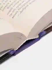 Книга Хищники будущего. Слепой охотник. Фантастика