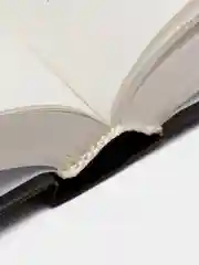 Книга Свобода на продажу, Джон Капфнер