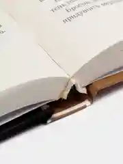 Книга "Дегустатор", Мастер Чэнь. Детектив, приключенческая литература для взрослых