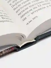 Книга "Под крестом судьбы", Белорусская православная церковь, военная история
