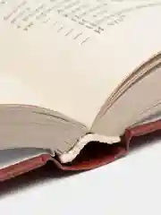 Книга Гонец из Пизы. Михаил Веллер. Юмористическая проза