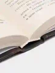 Книга "Свет в ладонях", боевая отечественная фантастика