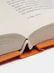 Книга "Краткая история смерти", Кевин Брокмейер. Современная зарубежная фантастика