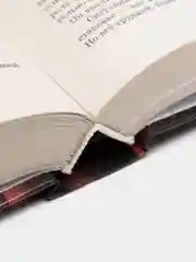 Книга Магия многоцветного экрана. Биография и мемуары