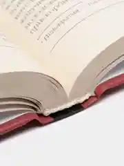 Книга Православие, С.Н. Булгаков. Очерки учения Православной Церкви