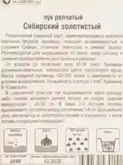 Лук Сибирский золотистый, семена