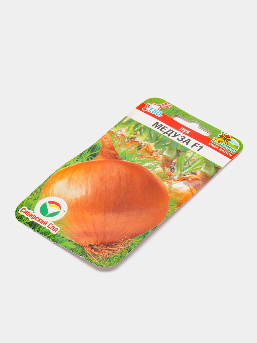 Лук Медуза, семена