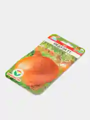 Лук Медуза, семена