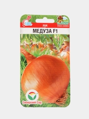 Лук Медуза, семена