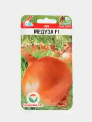 Лук Медуза, семена