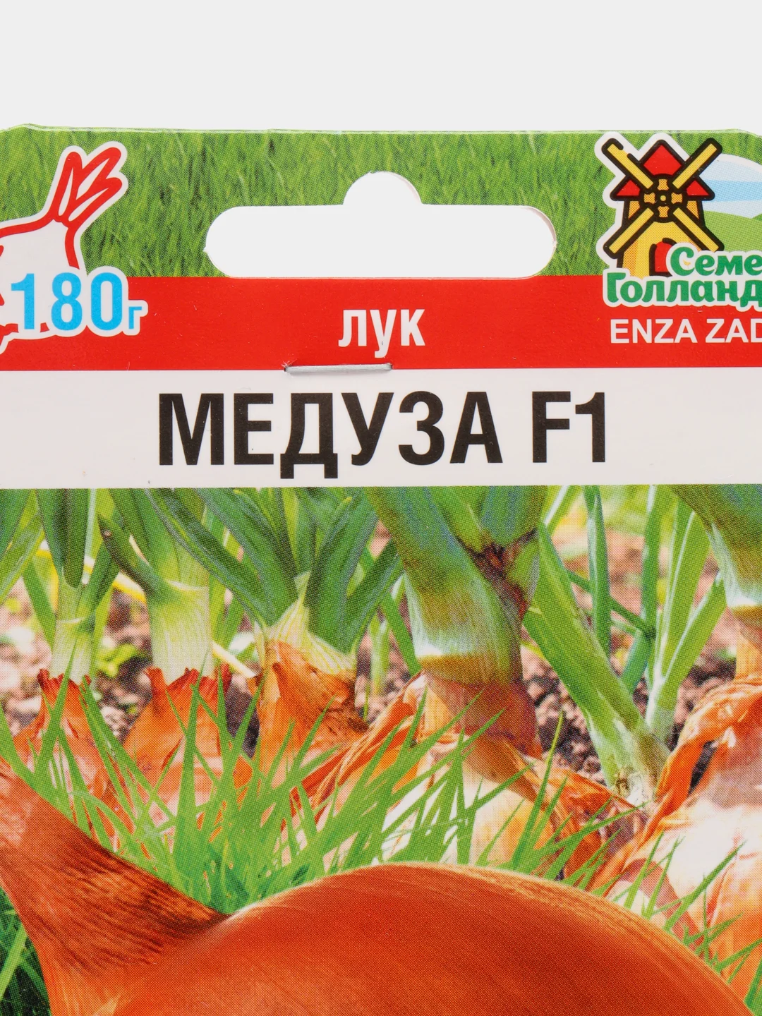 Лук Медуза, семена