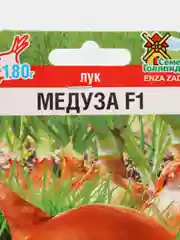 Лук Медуза, семена
