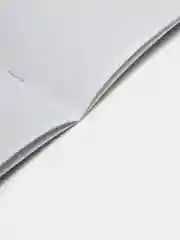 Тетрадь школьная для учебы в клетку Brauberg, 12 листов, набор 20 штук, 880048