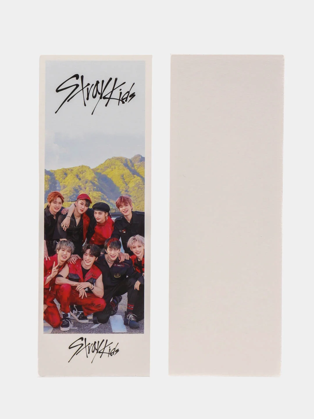 Лазурный закладки для книг и учебников K-POP Stray Kids 36шт