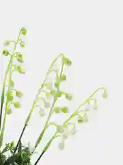 Цветы искусственные колокольчики
