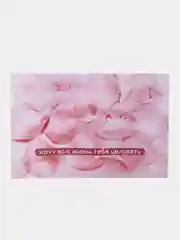Открытка с днем рождения "Целовать", 10х15 см