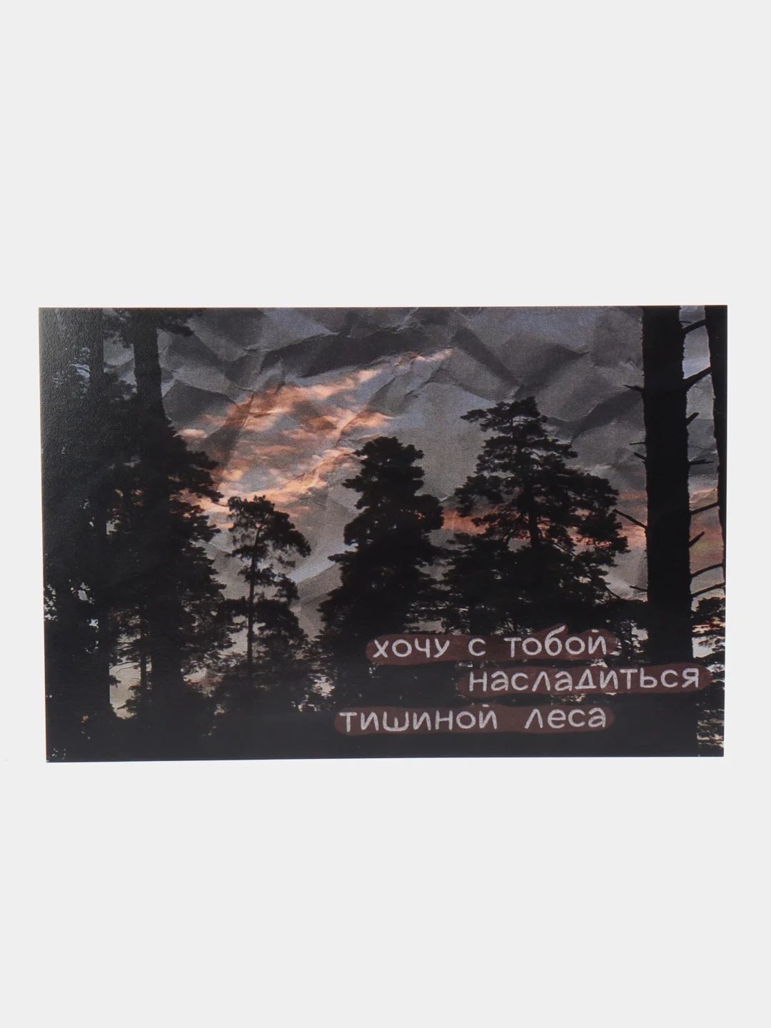 Лесной зеленый открытки с днем рождения, "Хочу с тобой...", 7 видов, 10х15 см