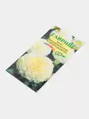 Бархатцы Килиманджаро, семена цветы