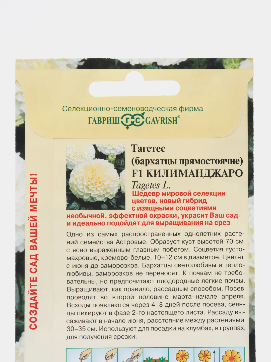Бархатцы Килиманджаро, семена цветы