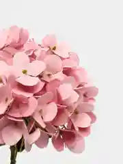 Розовый гортензия, искуственные цветы
