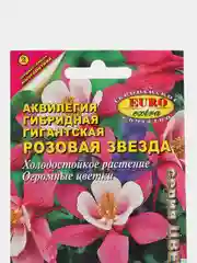 Аквилегия Розовая звезда гигантская, семена, цветы