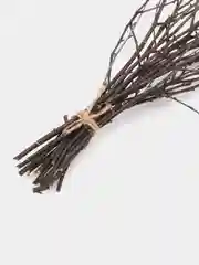Коричневый сухоцветы ветки березы