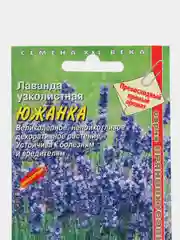 Лаванда Южанка, семена, цветы