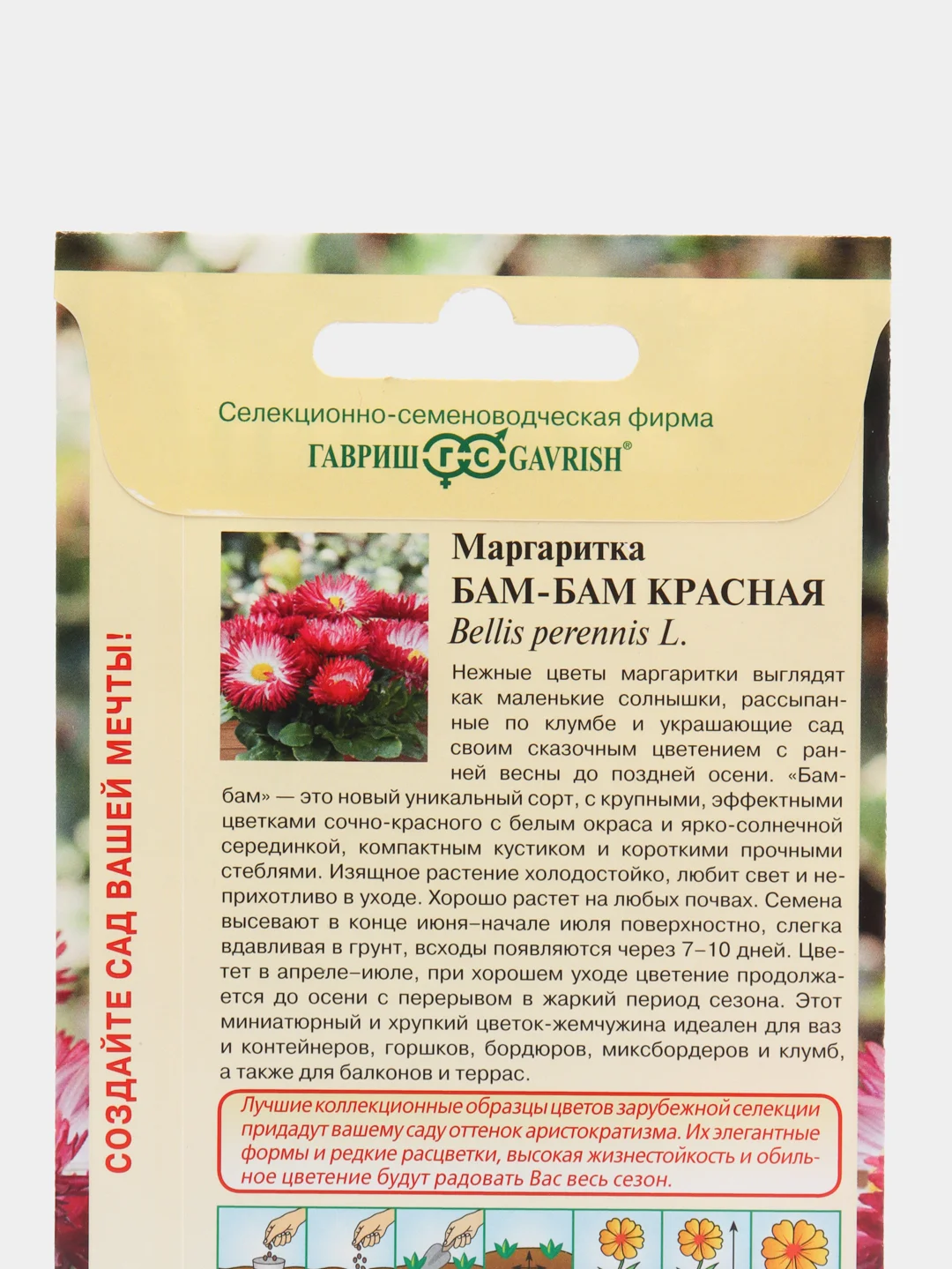 Маргаритка "Бам-бам", красная, семена, цветы