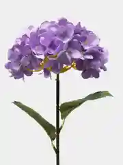 Кремовый искусственные цветы, гортензия